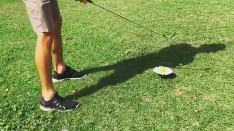 Do you get FREE RELIEF if your ball rests on a fairway mushroom?